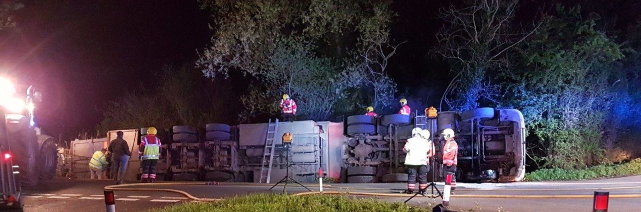 Cattle killed in UK road accident as lorry overturns