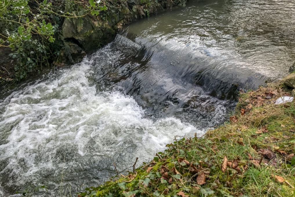 More farm inspections needed to reduce water quality risk - EPA