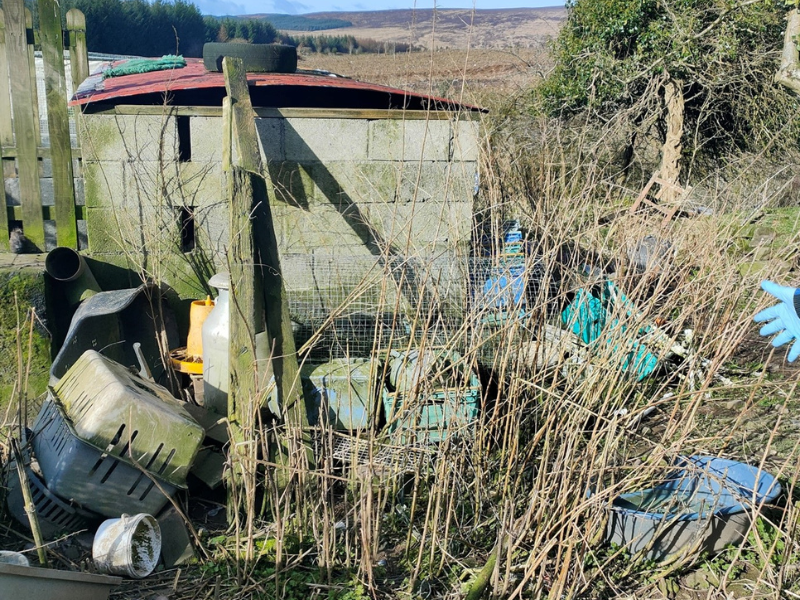 Animal sanctuary owner sentenced for operating 'house of horrors'