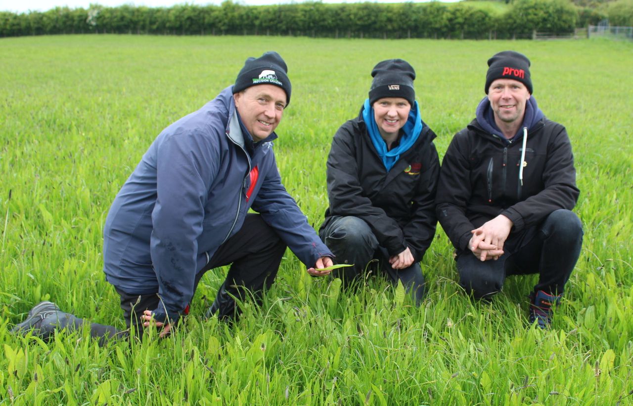 Opinion: ARCZero project - beacon of hope for agriculture in NI