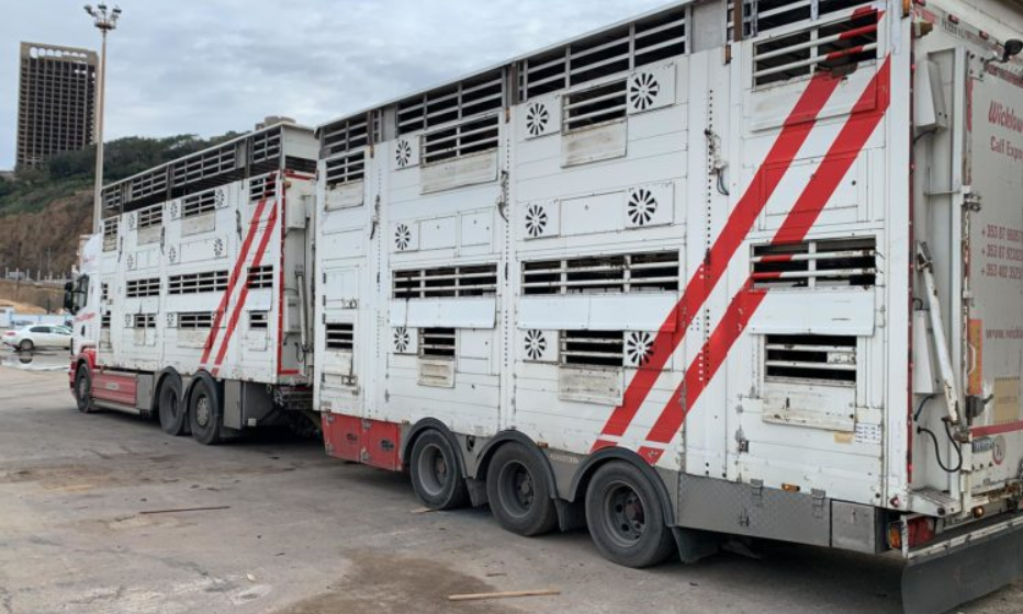 What does the Programme for Government say about live exports?