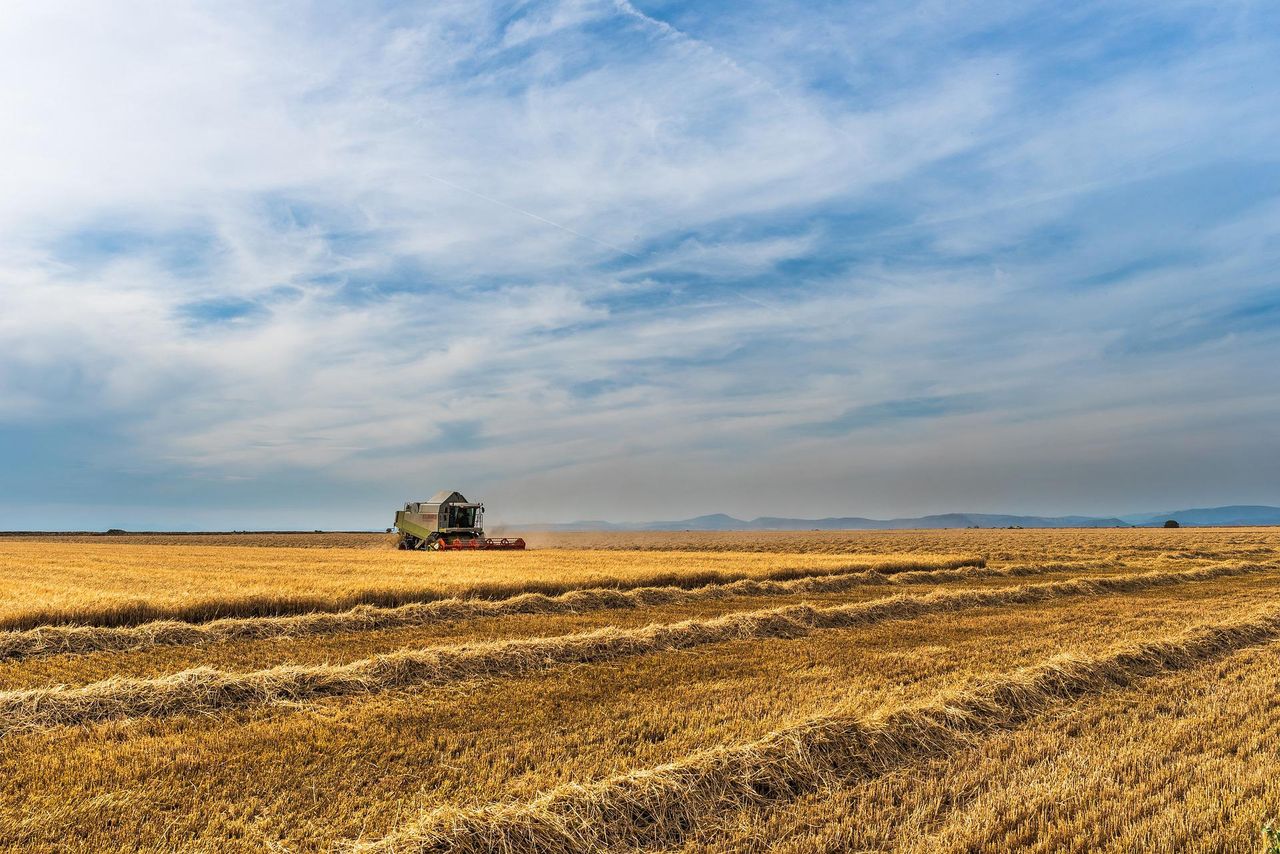 Minister expects strong demand for Straw Incorporation Measure in 2022