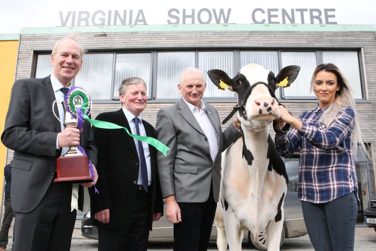 Record number of entries for 'first dairy show of the year'