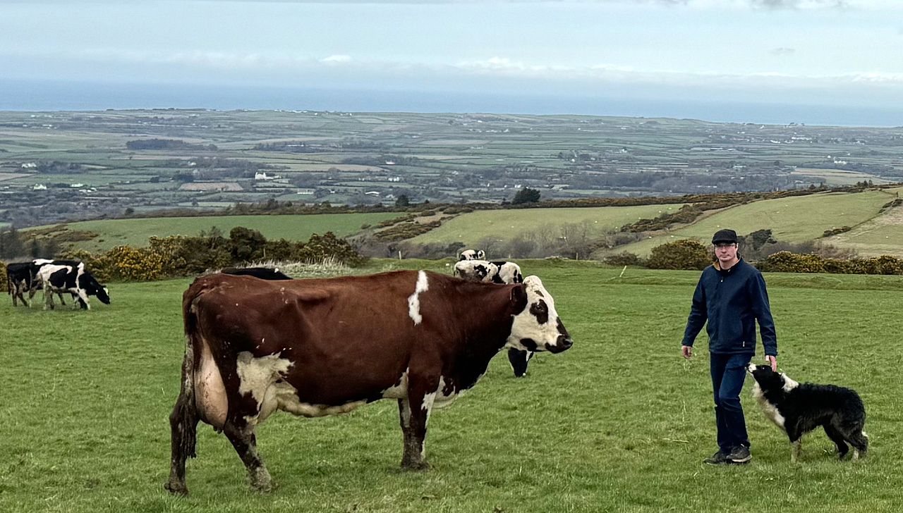 Farm sells milk directly to public on TB-free Isle of Man