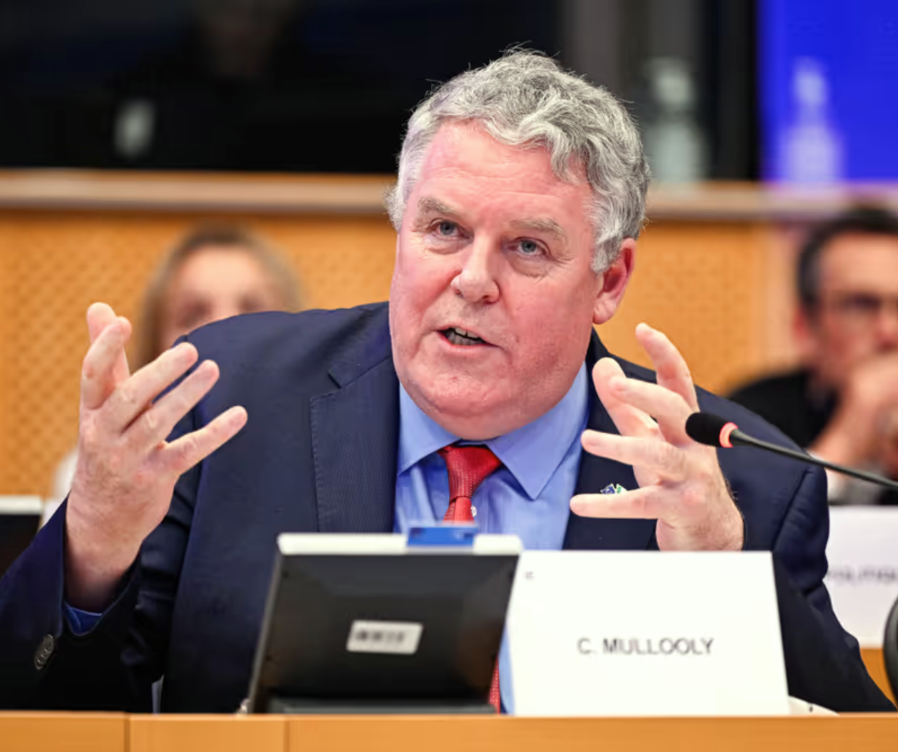 Proposed derogation conditions 'too high a price' for rural Ireland - Mullooly