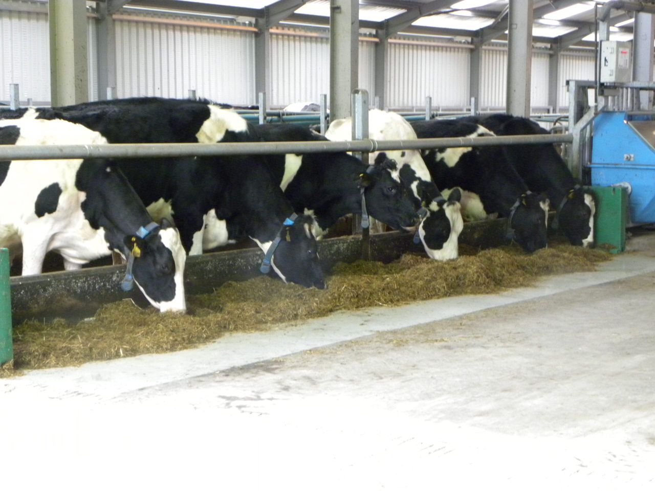 'Ongoing dairy challenges' see no immediate reintroduction of Ornua milk levy