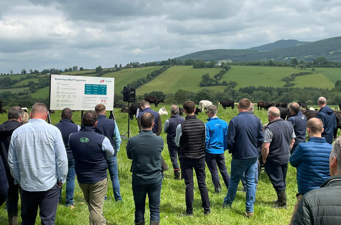 ABP Demo Farm reports 32% lower emissions while producing 'heavier cattle'
