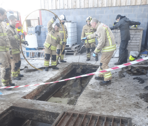 Dairy cows rescued from slurry pit in Wales
