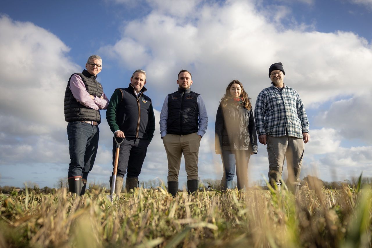 Irish Distillers partnership set to scale up regenerative farming