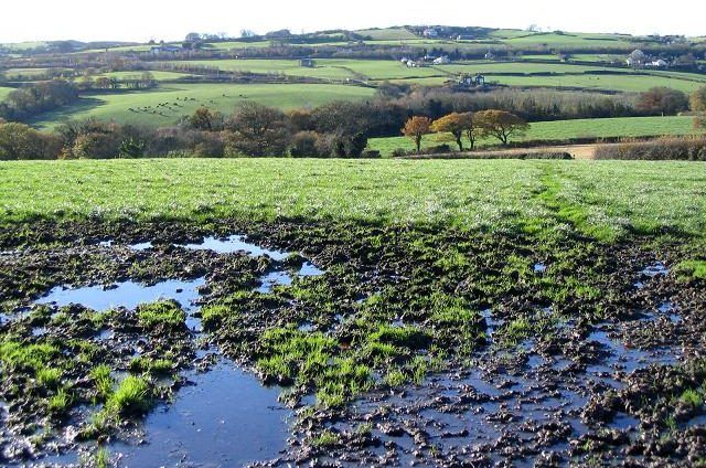 Soil drainage - is it worth the initial investment?