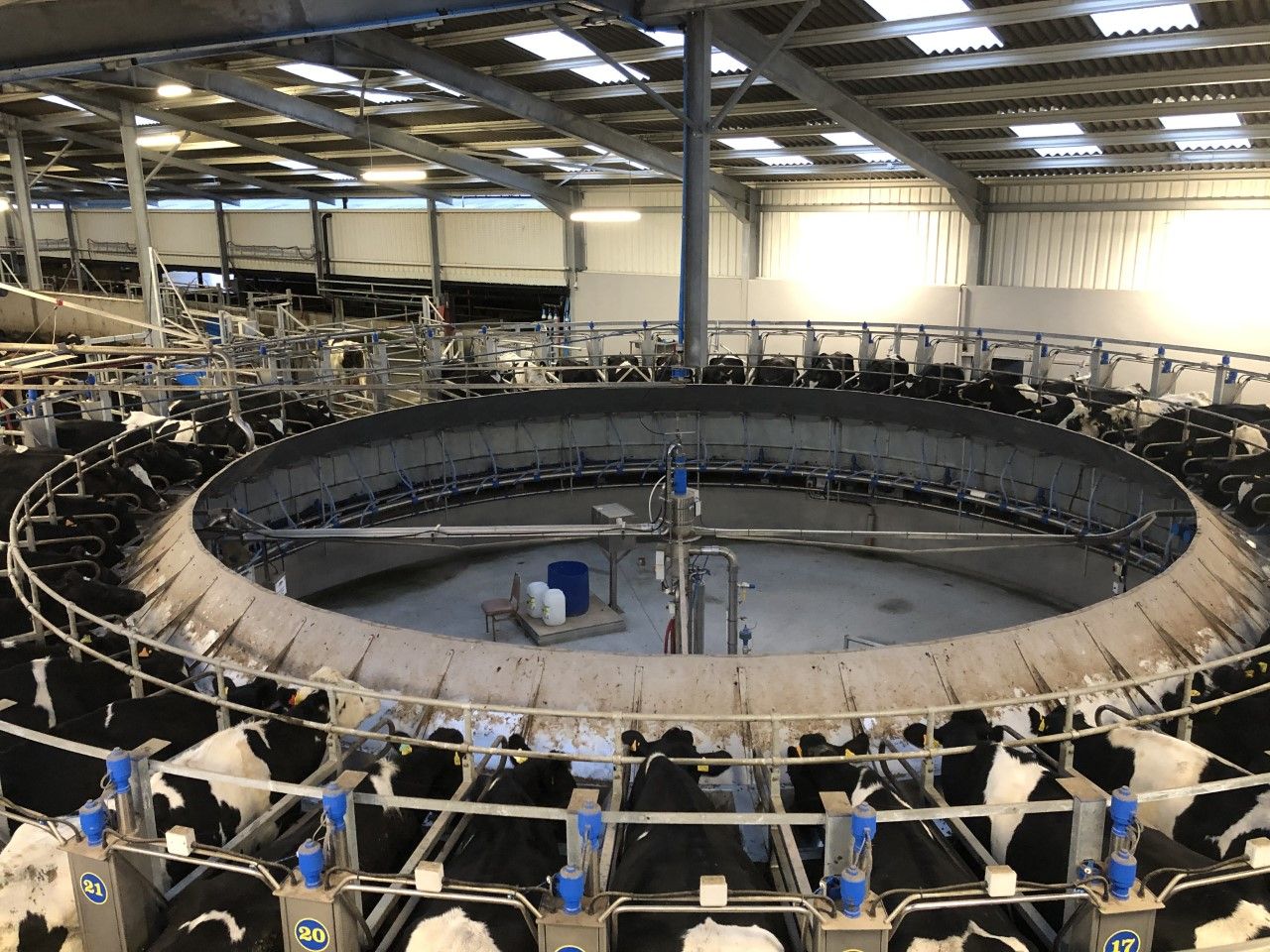 Buildings Focus: Milking 285 cows through a 50-bail rotary parlour in Co. Waterford