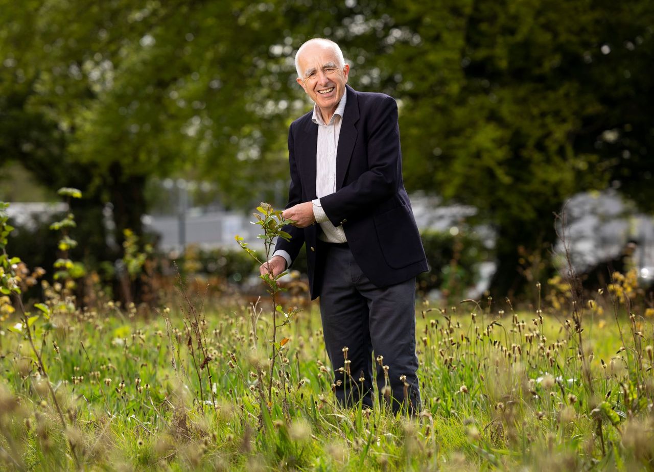 The business case for biodiversity on World Environment Day