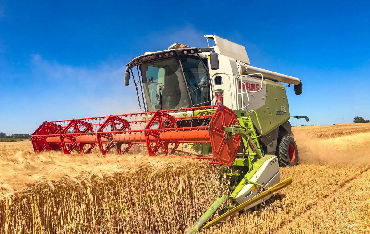 'Agriculture must produce more food' - former NFU president