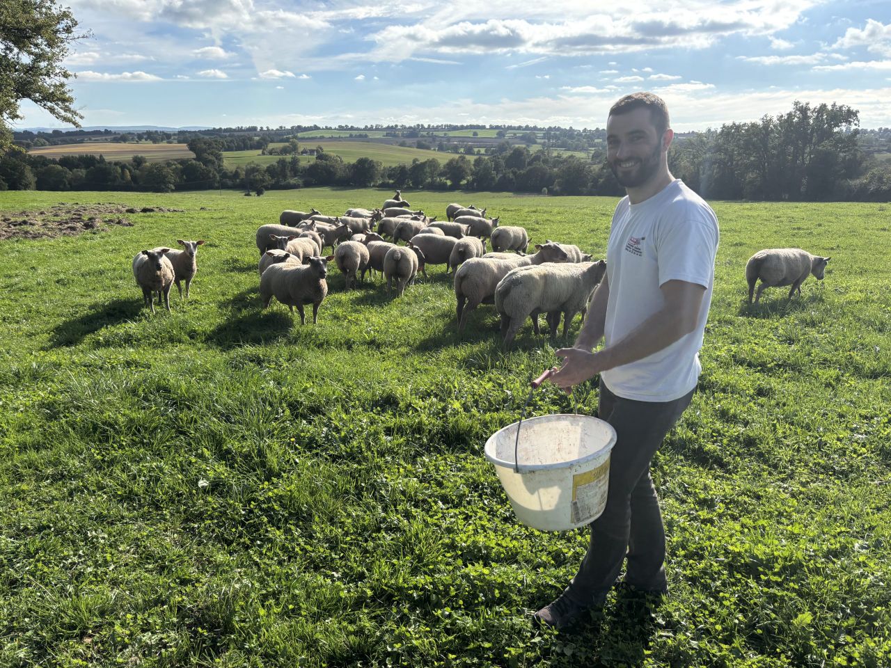 Insights from a 220ha Charollais sheep and Limousin suckler farm in France