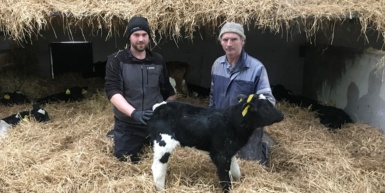 Dairy Focus: Building towards the future in the Royal County