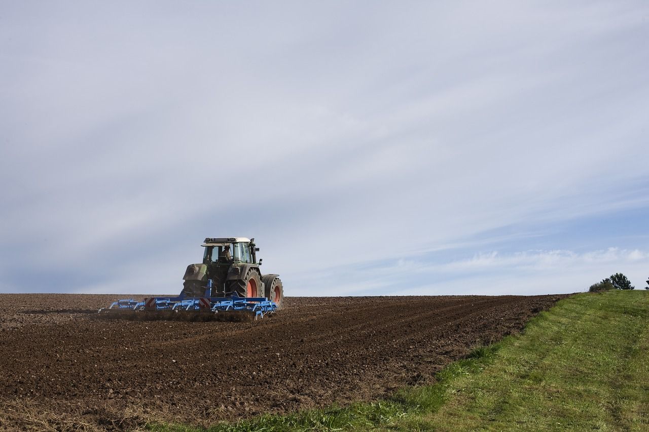Public consultation on carbon farming framework launched