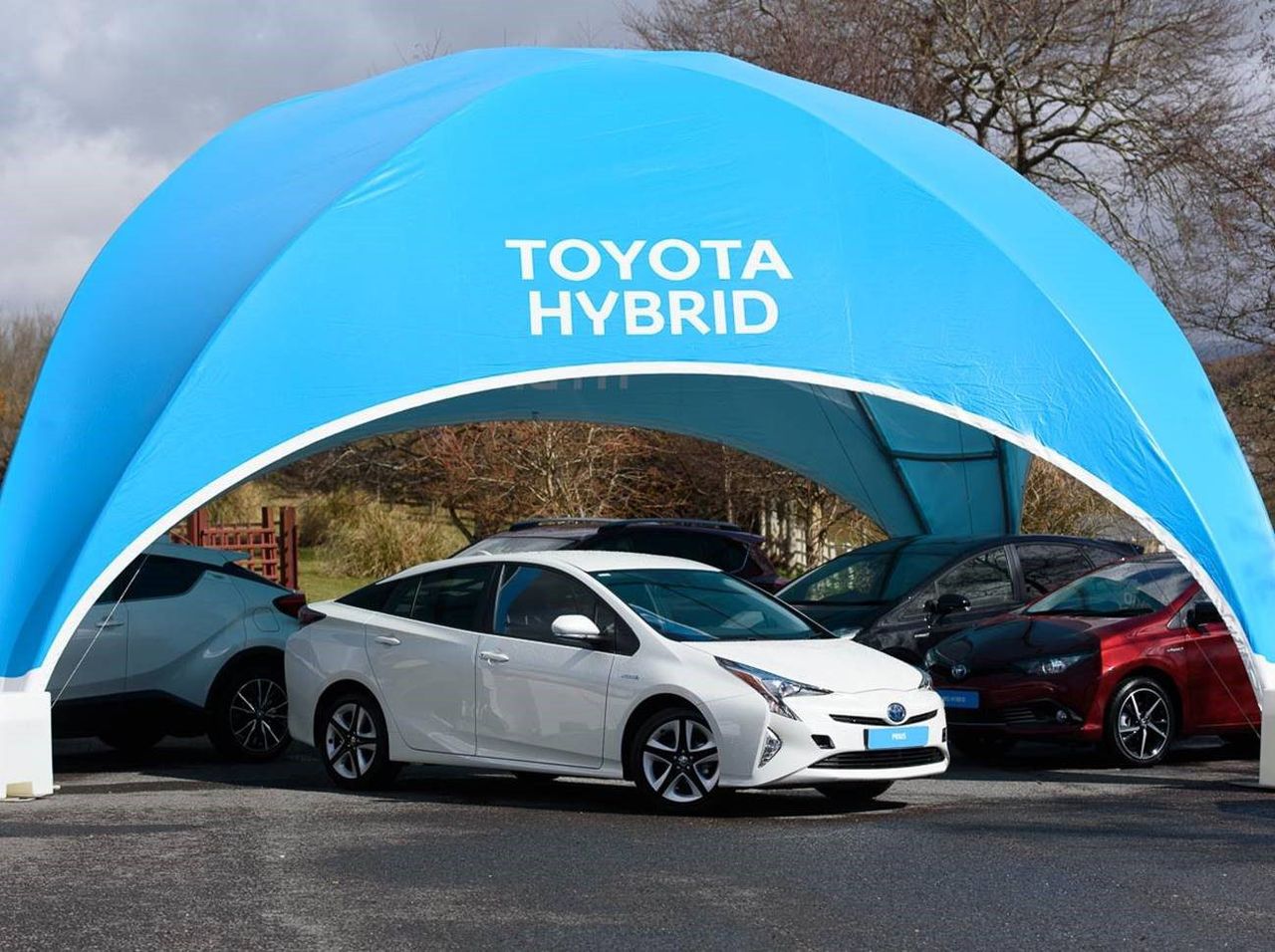 Local Link Donegal pilot drives home the value of going green