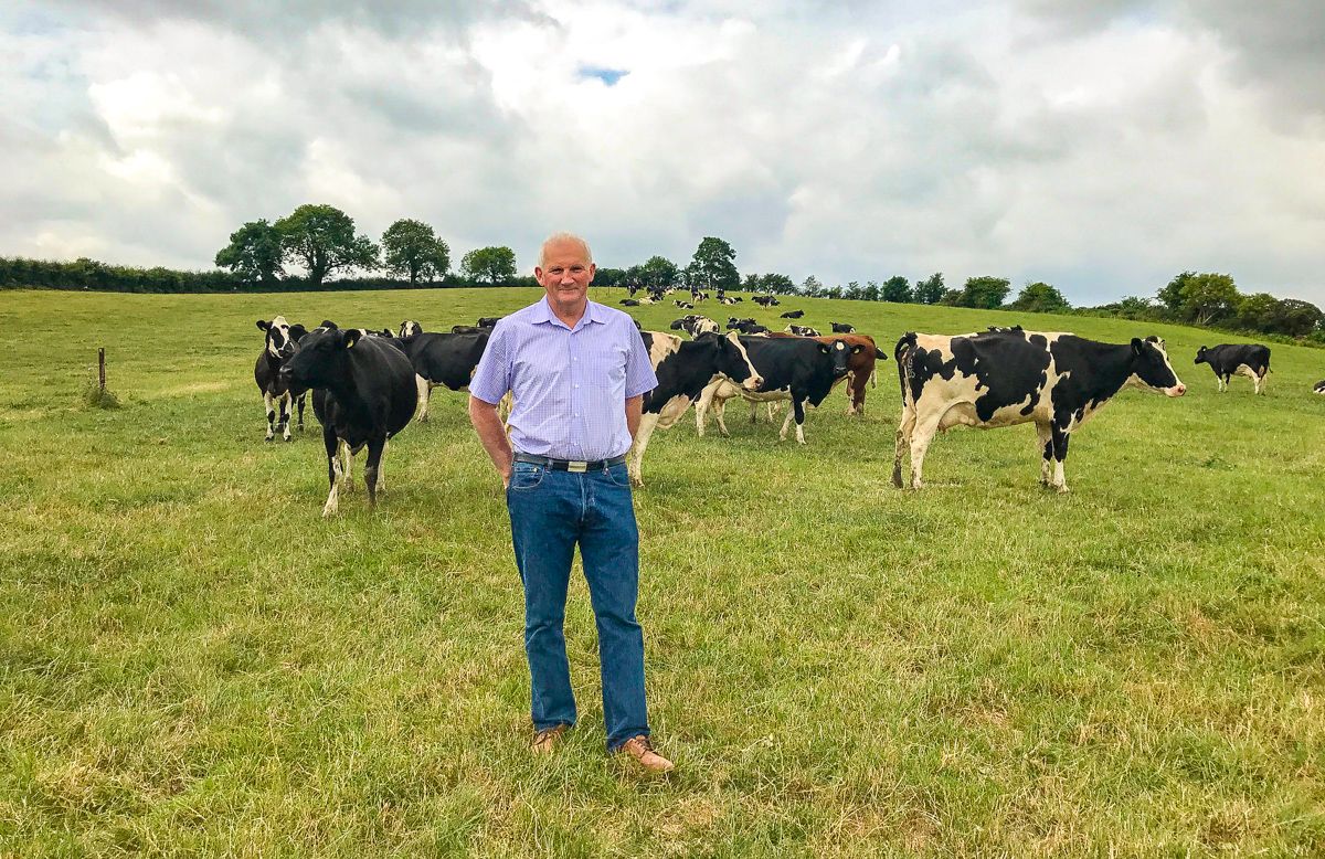 King of the hill: 'Dairy is the only sustainable sector'