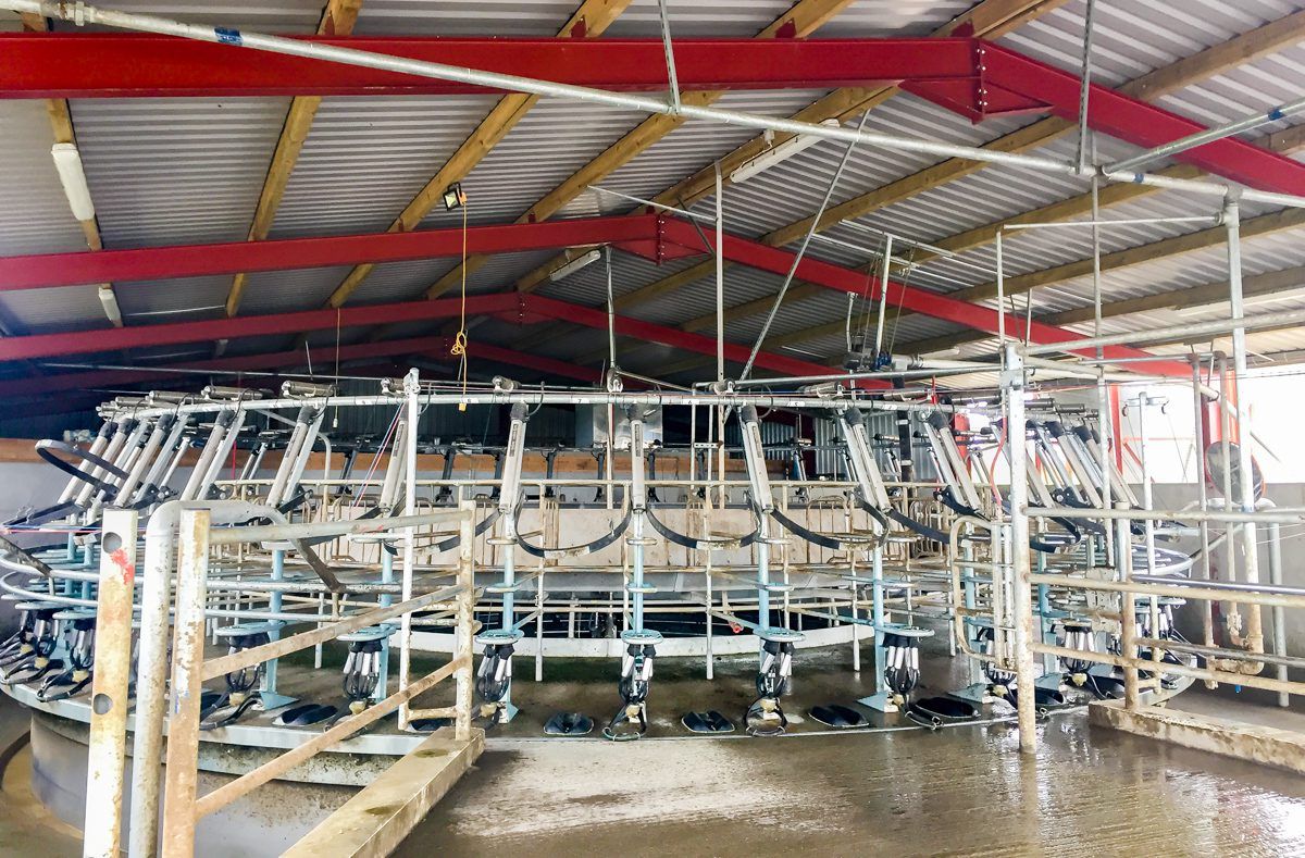 Dairy focus: Operation (farm) transformation in Co. Laois