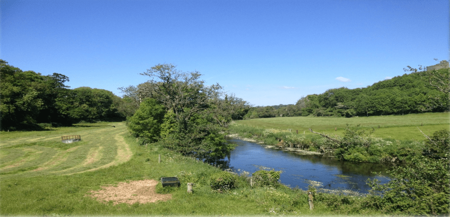 What can Irish agriculture do to reduce greenhouse gas emissions?
