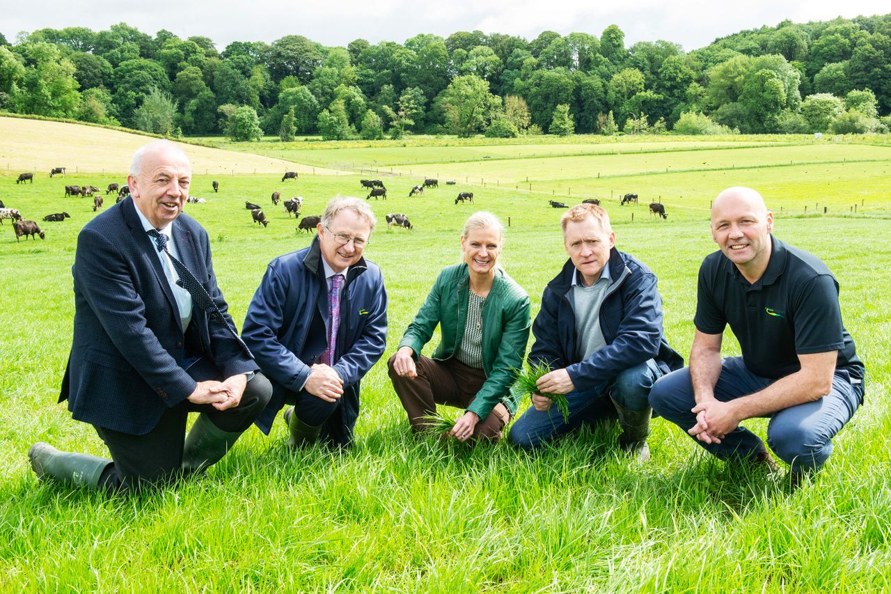 A focus on enhancing water quality by tree planting at Moorepark