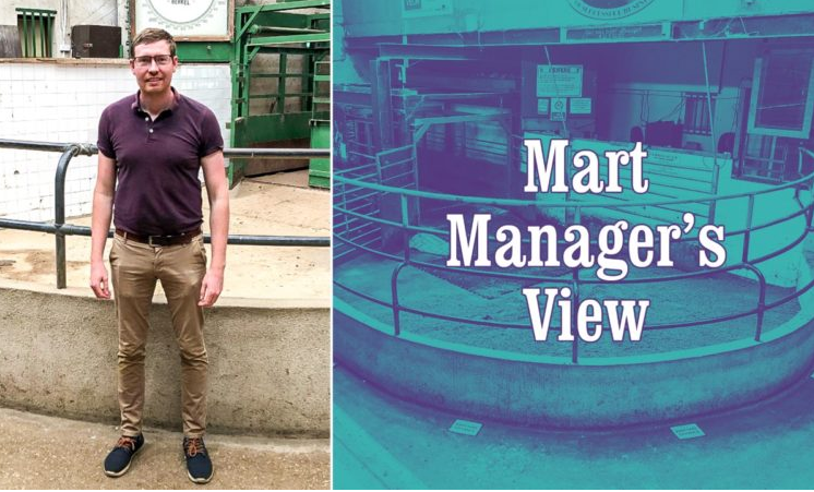 'Factory-finished lambs saw a big lift of €5/head on last week' - Kevin Murphy