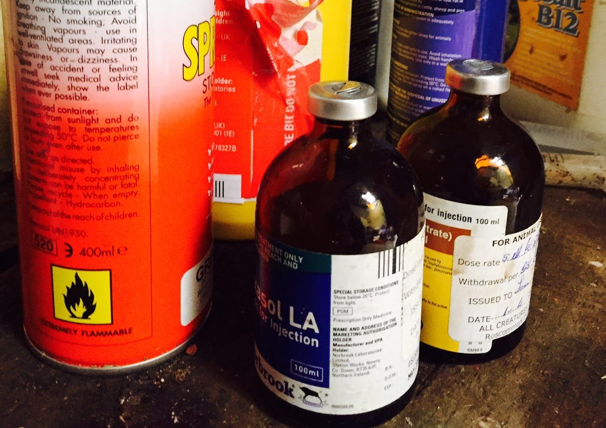 Ógra Fianna Fáil calls for compromise over sale of veterinary medication