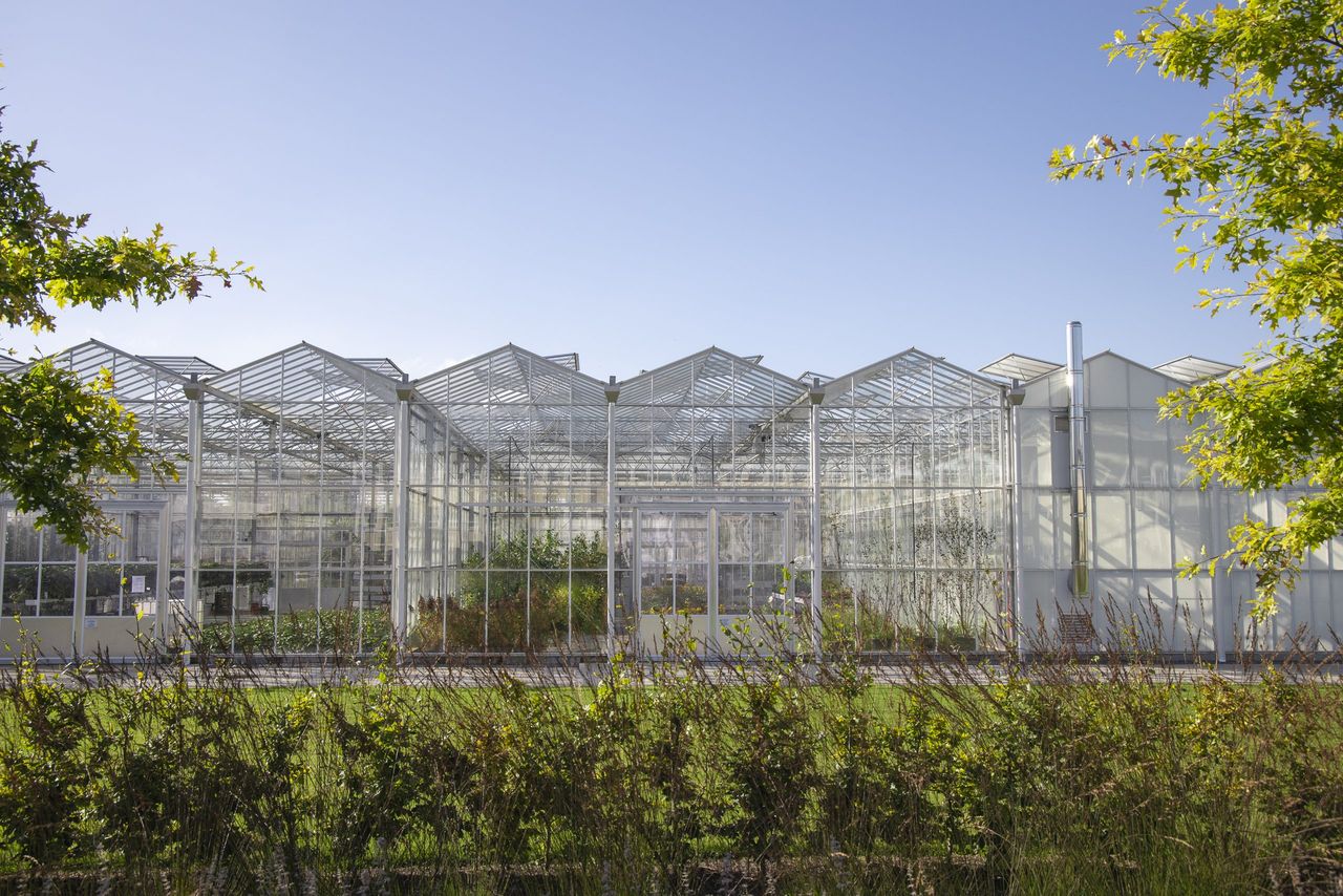 Bord Bia launches HortLink network to support future of Irish horticulture