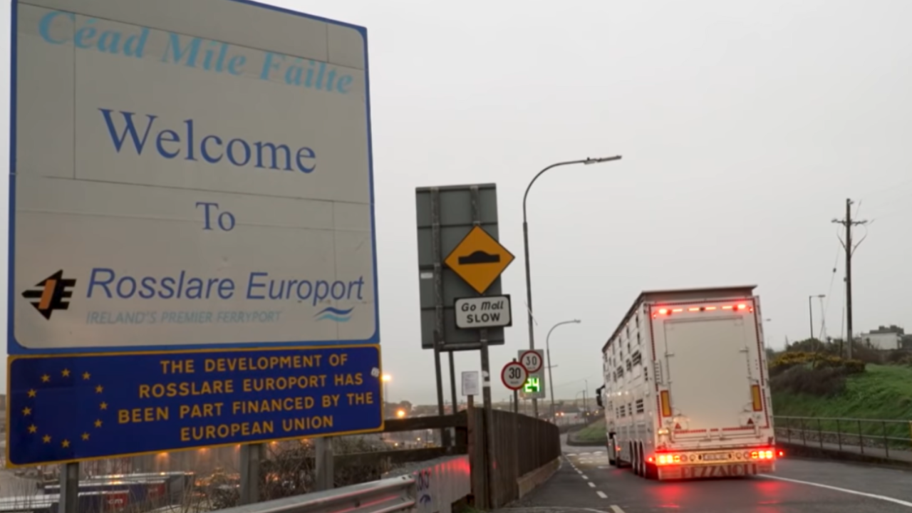 2025 Irish cattle export numbers approach 310,000 head
