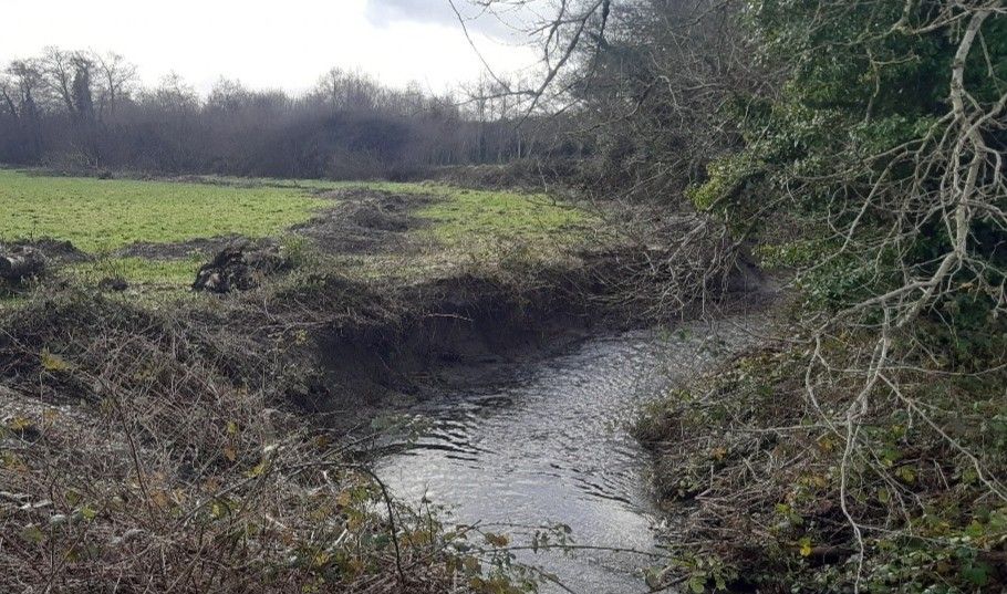 Court: Kilkenny landowner convicted for habitat damage