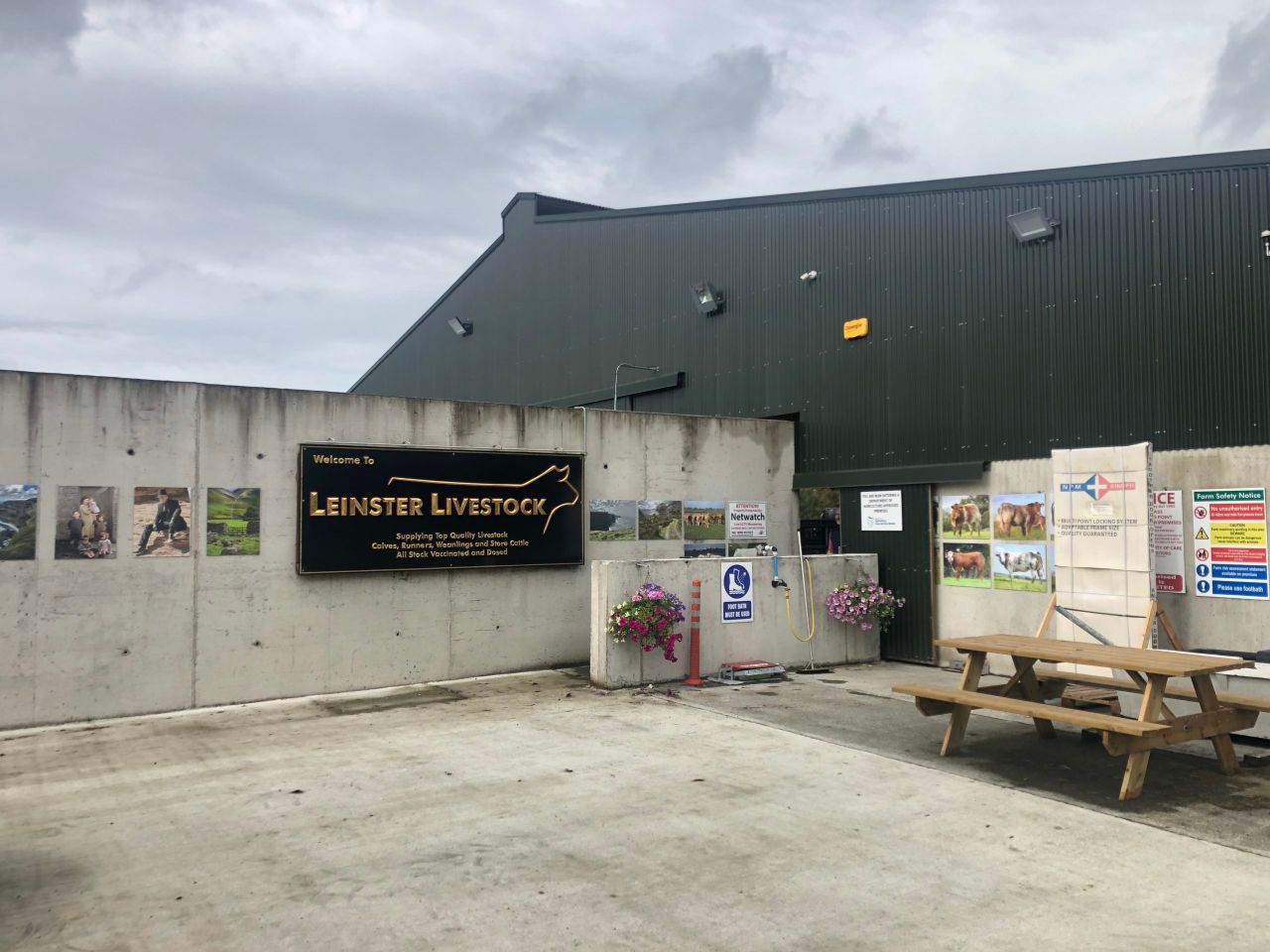 Beef Focus: See inside 'state -of-the-art' Longford cattle dealer's yard