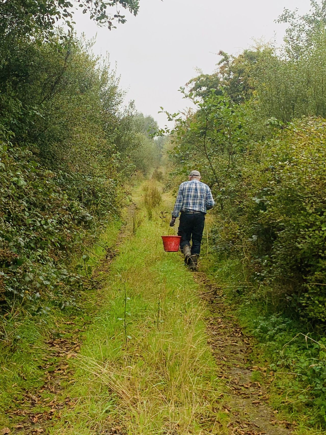 Winners of hedgerow photo competition announced