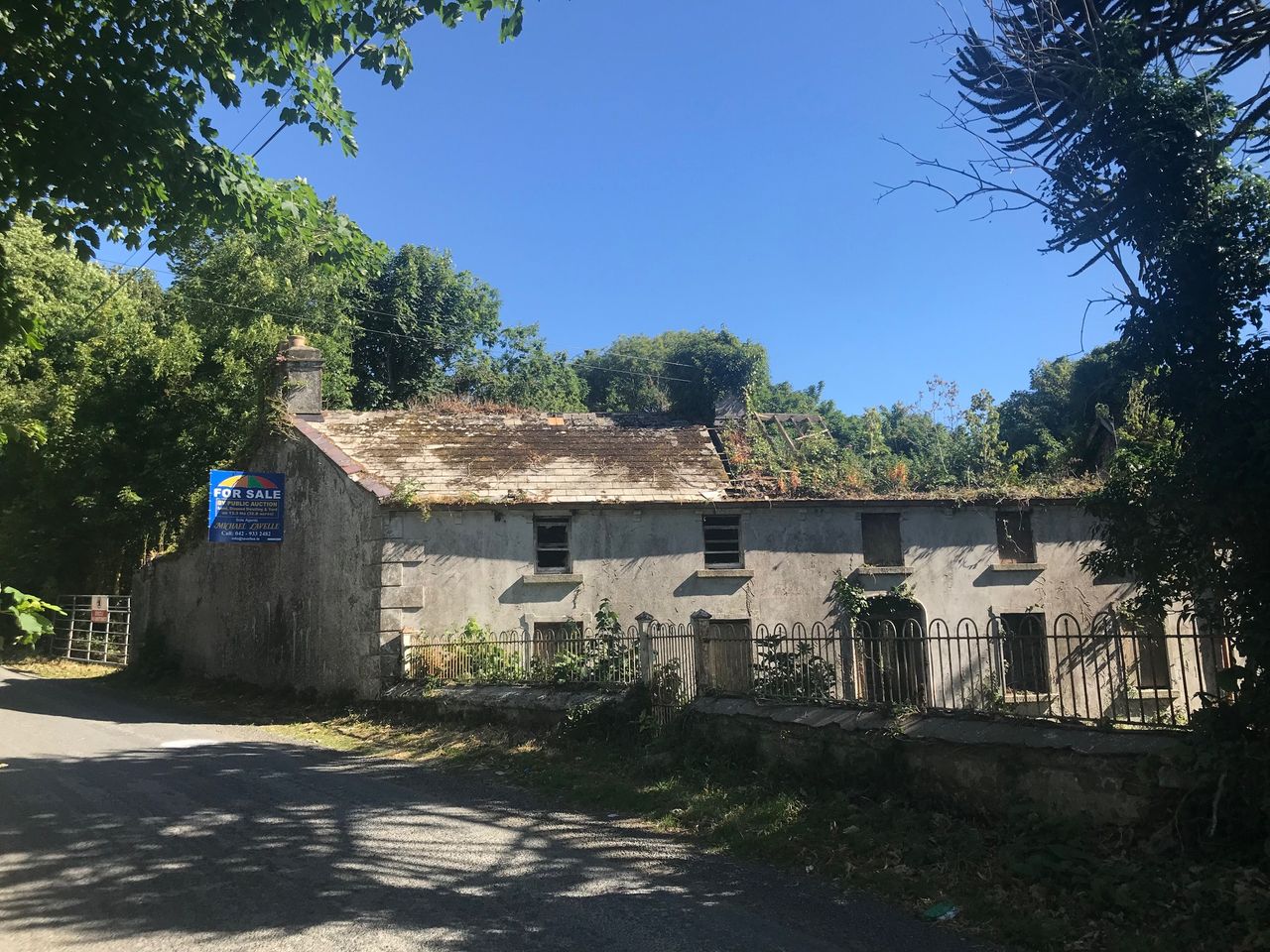 Dundalk holding with derelict house for sale attracts cross-border interest