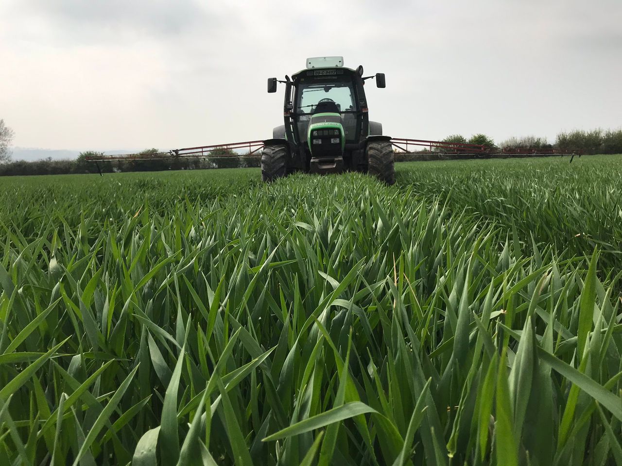 Tillage Focus: Building a sustainable business in Co. Waterford