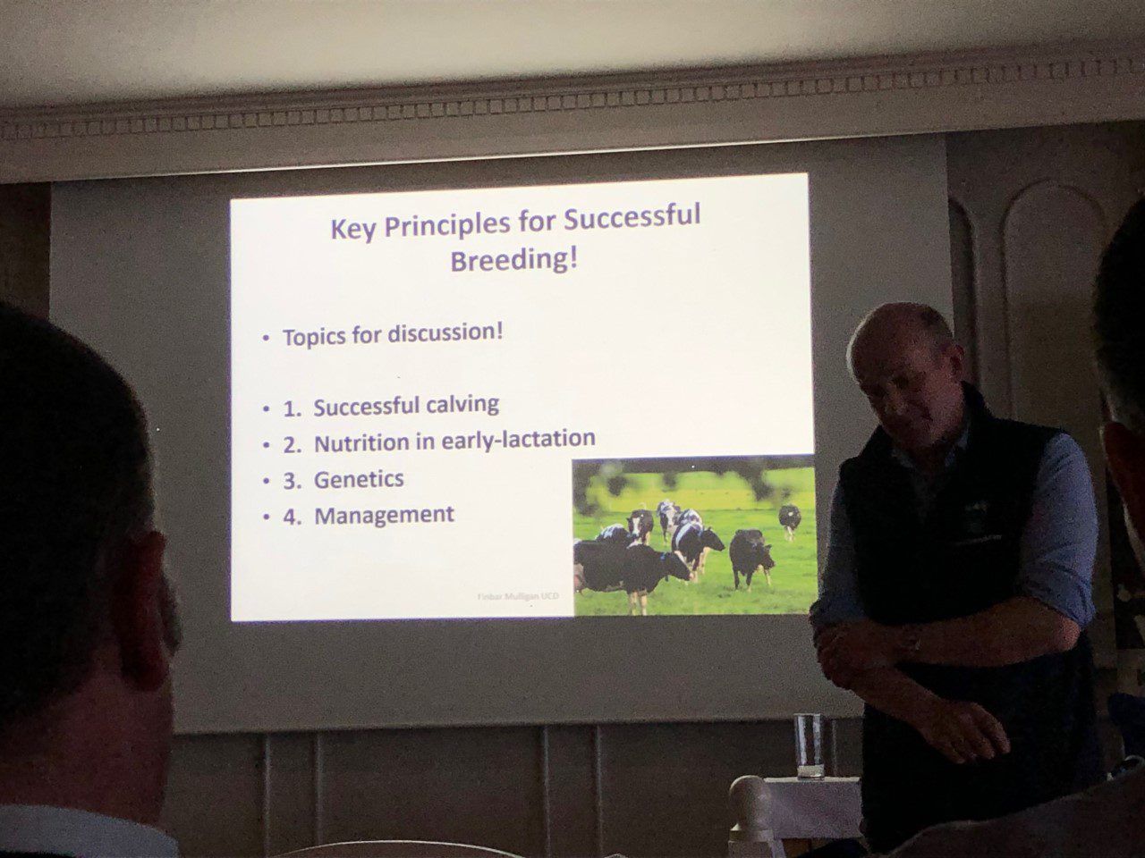Key principles for successful dairy cattle breeding