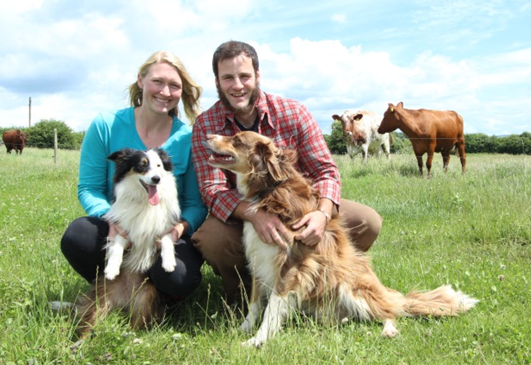 Dairy and mixed-stock farmers to host farm walk next weekend