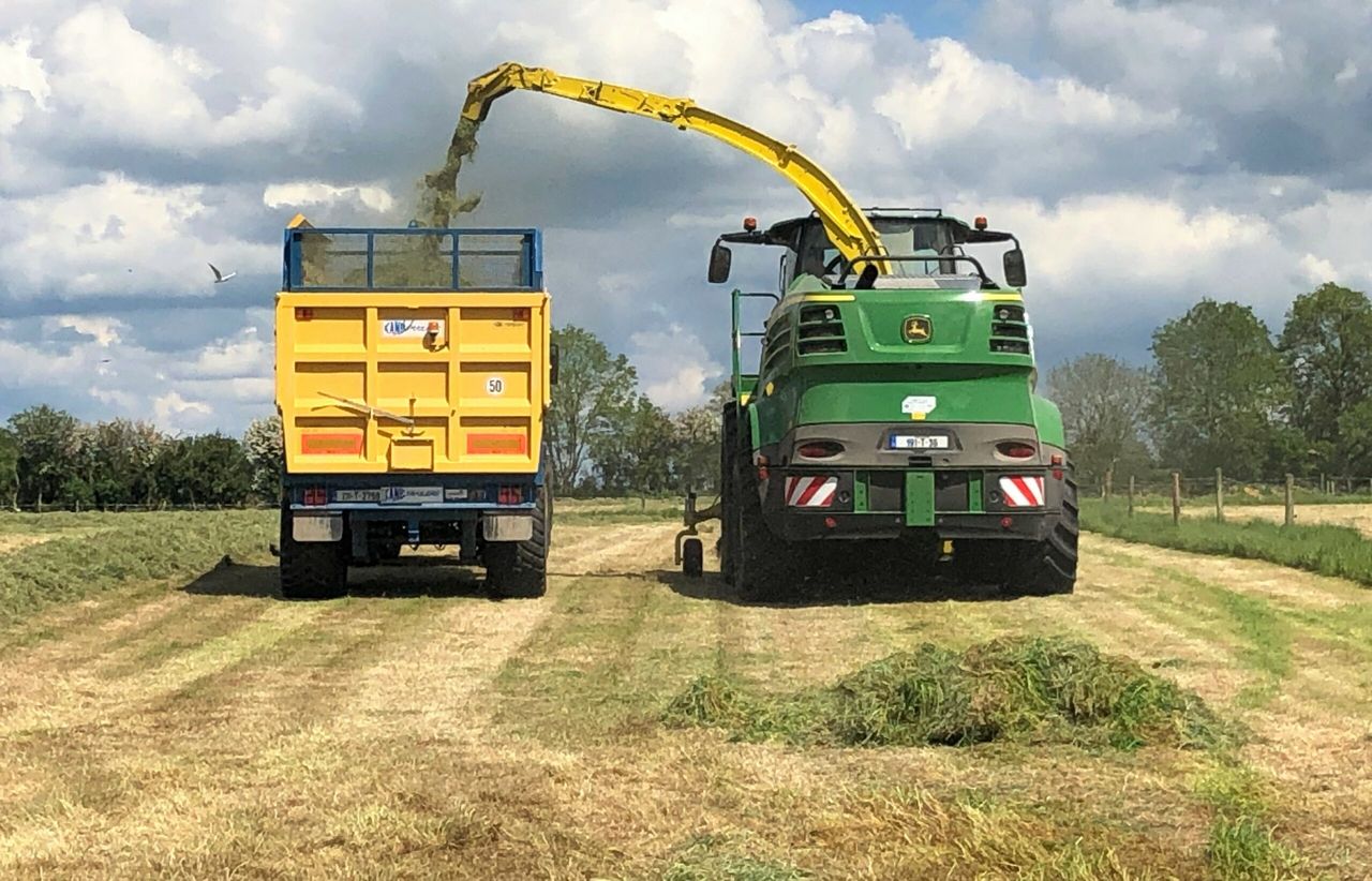 Grass growth: Hoping for a speedy recovery