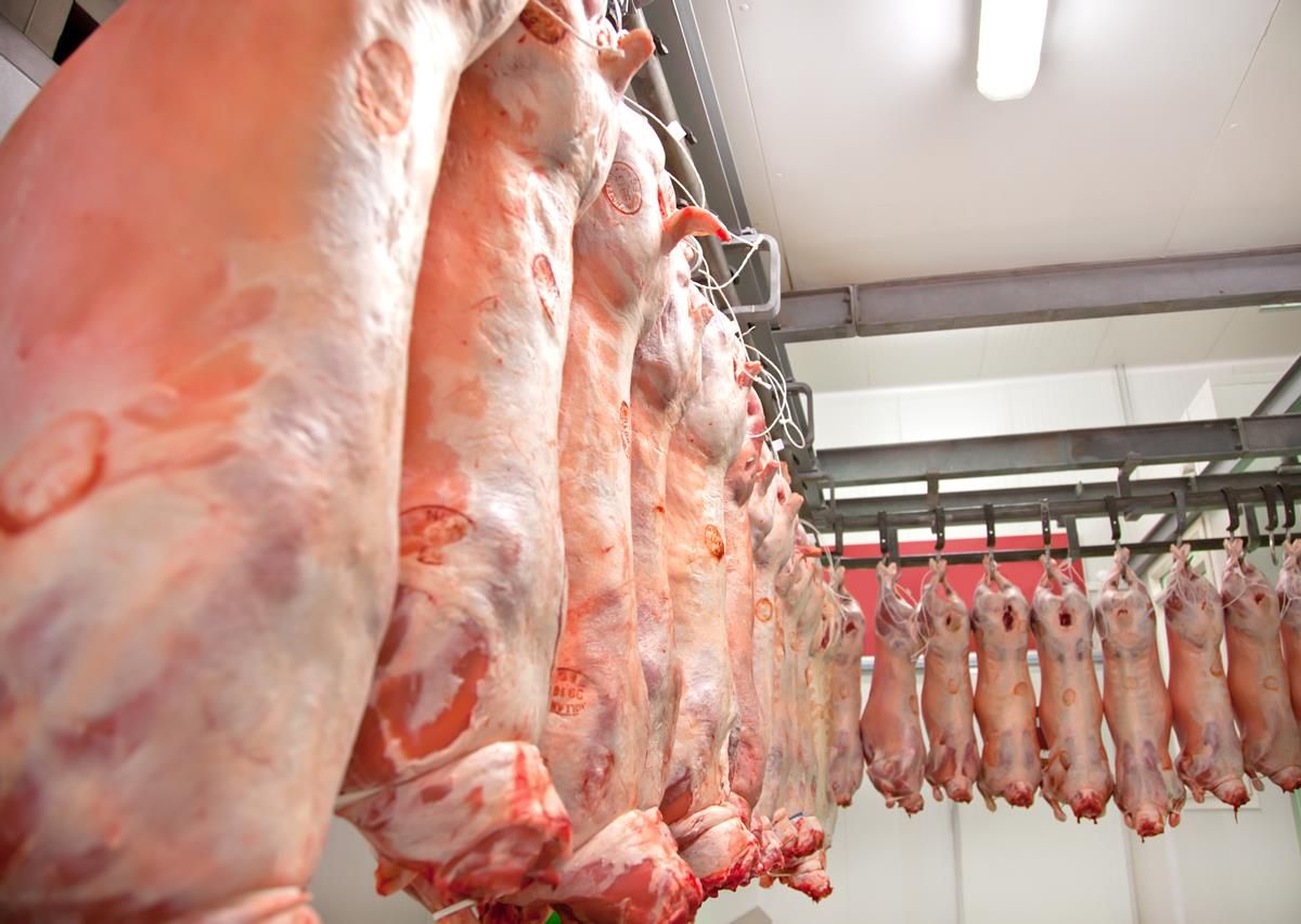 Europe-wide CO2 shortage closes abattoir doors in Scotland