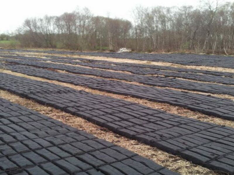 'One claim per household' under turf-cutting scheme - Noonan