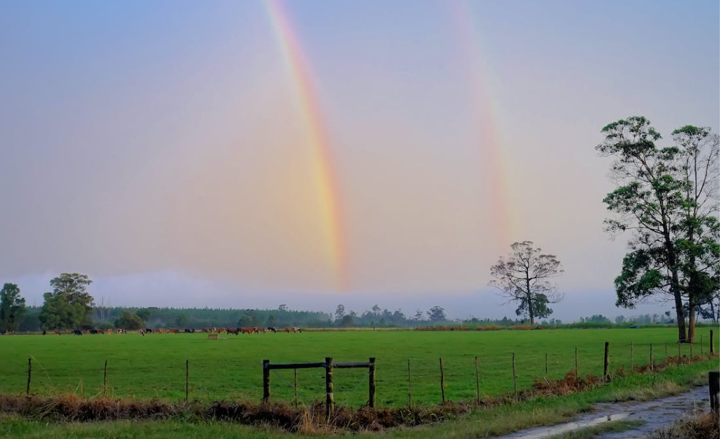 Weather largely unsettled and cooler than average this week