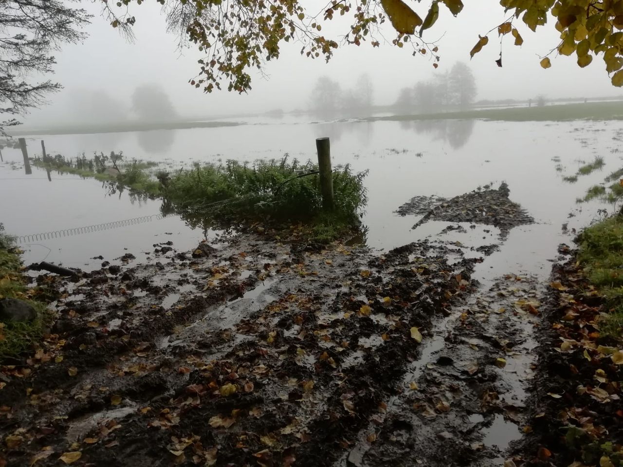 Continued weather woes puts pressure on farmers