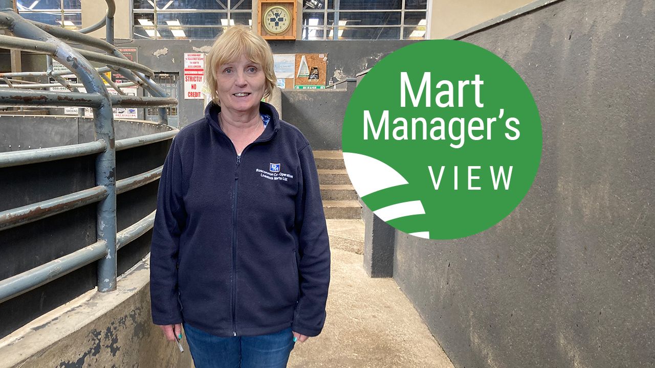 'If grass wasn't as tight there would be more demand for stores'