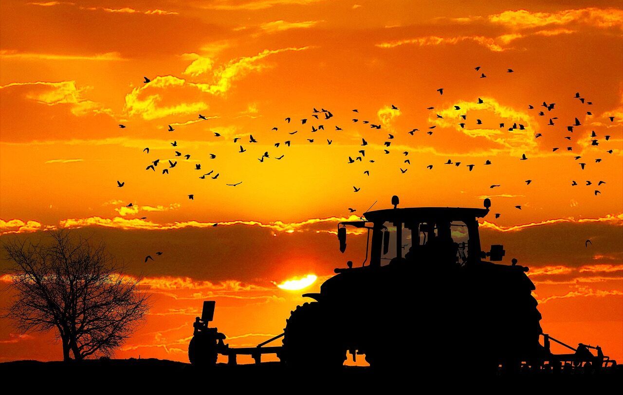 Senator: Mercosur is a 'direct threat' to family farms
