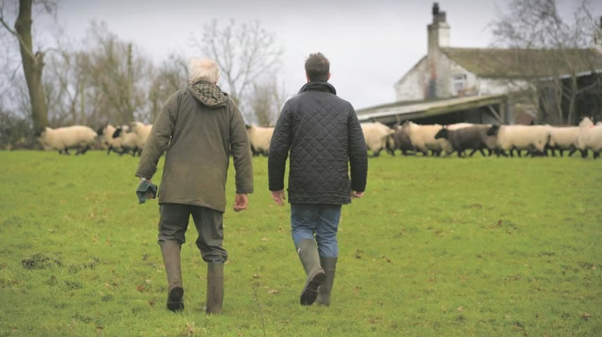 Pension-age farmers paid over €190 million in CAP payments in 2025