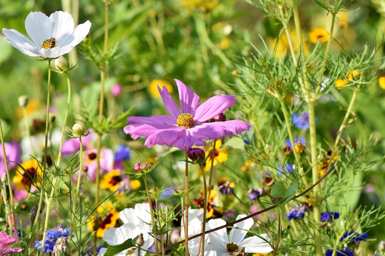 'High nature value' farmer joins Farming for Nature network