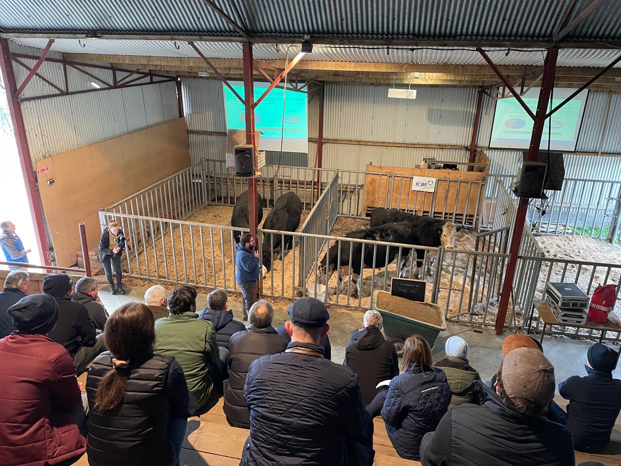 Beef farmers supplying ABP visit ICBF Tully research facility