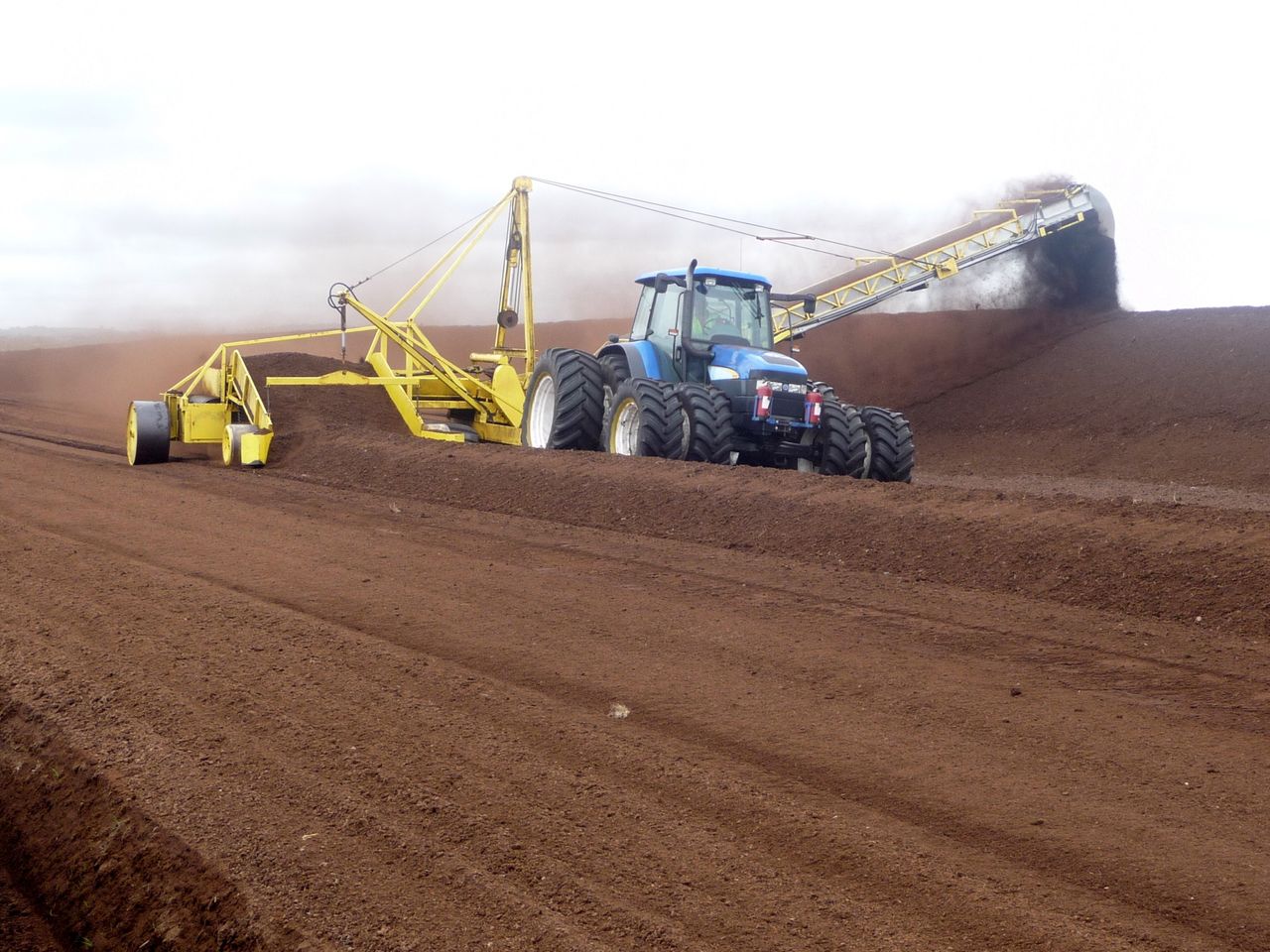 BNM memo: Peat volumes to power plants to decline by up to 50% from December 2019