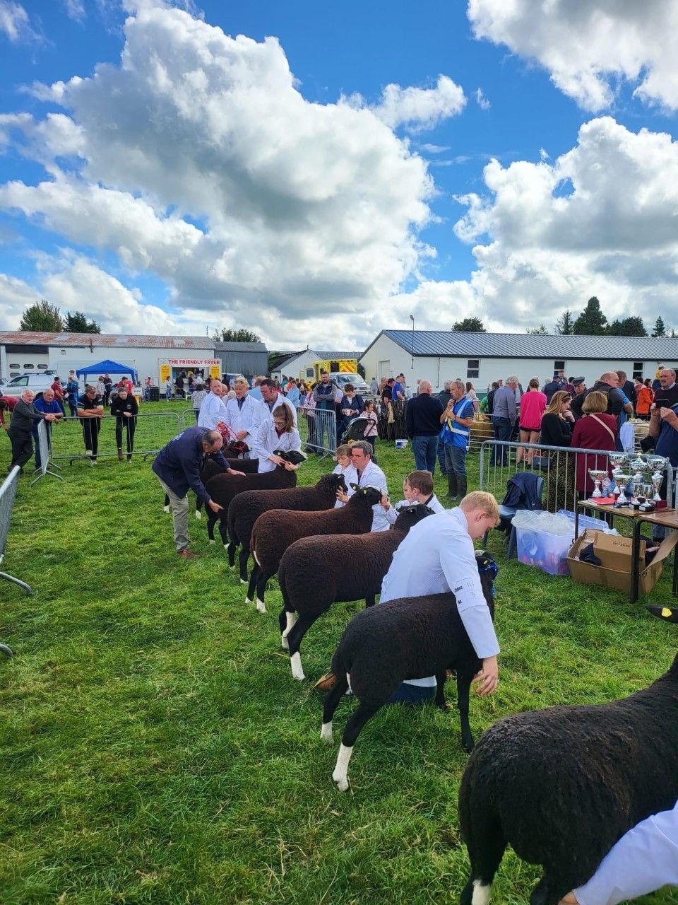 Two Zwartbles groups come together to form one society