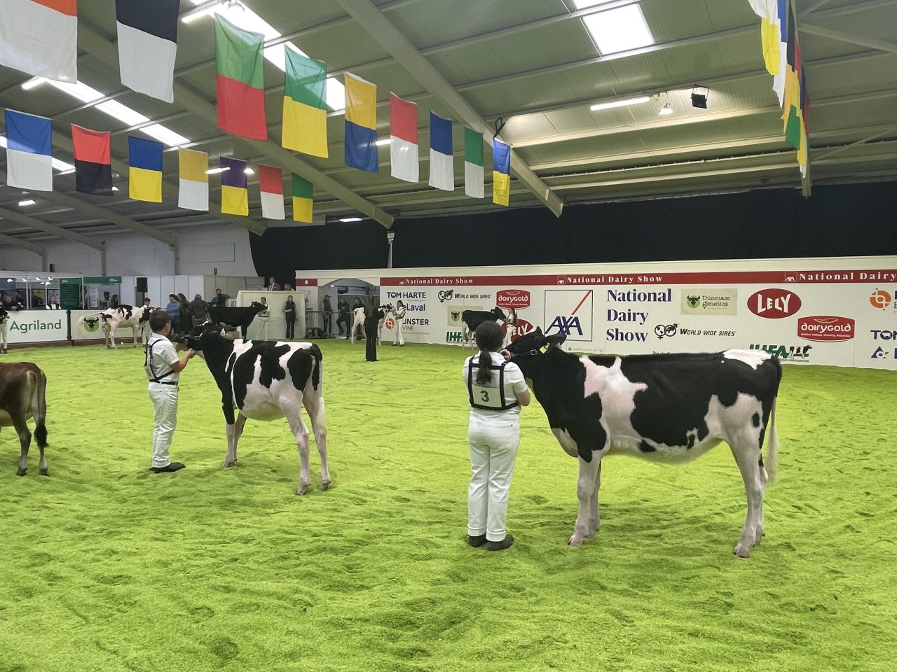 Watch: AXA National Dairy Show 2025 underway in Cork