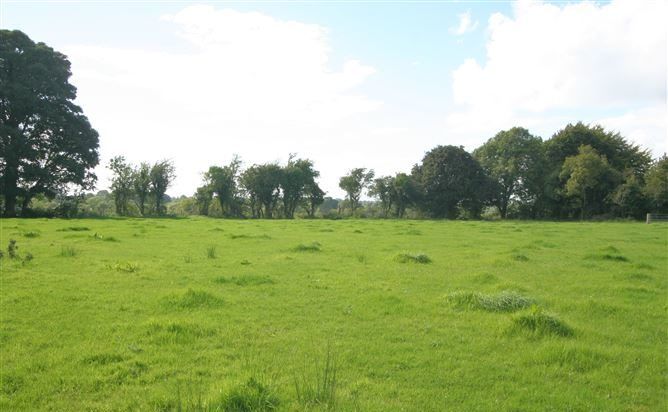 Pics: Longford farm with "enormous potential" sells for close to €7,300/ac